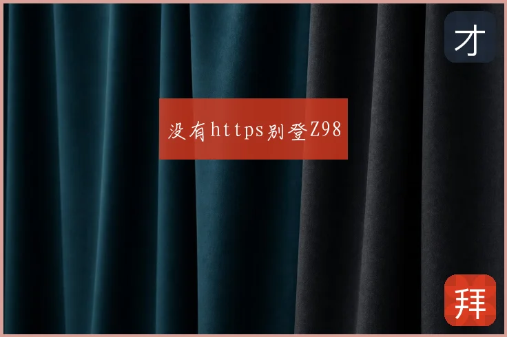 没有https别登Z98